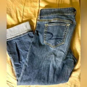 American Eagle Cropped Artist Jeans